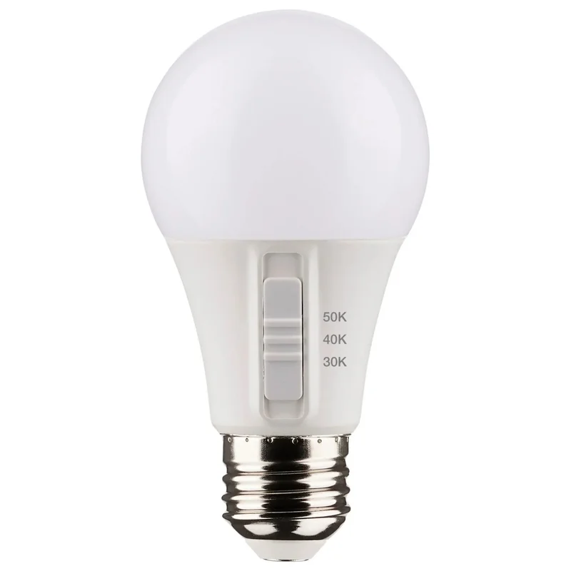beeslighting12644117