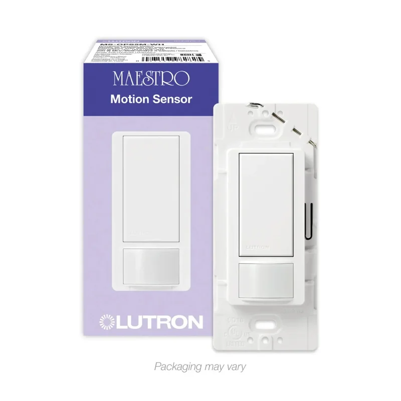 beeslighting12646649