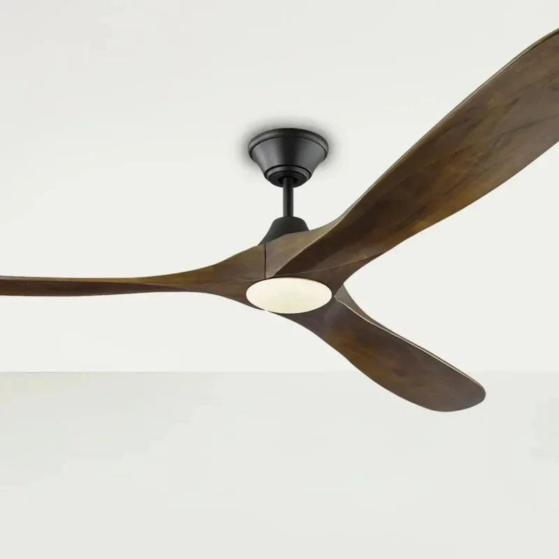 beeslighting12649704