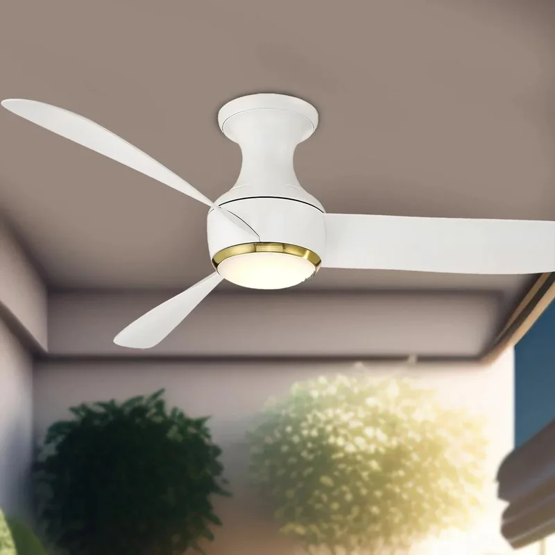 beeslighting12649757