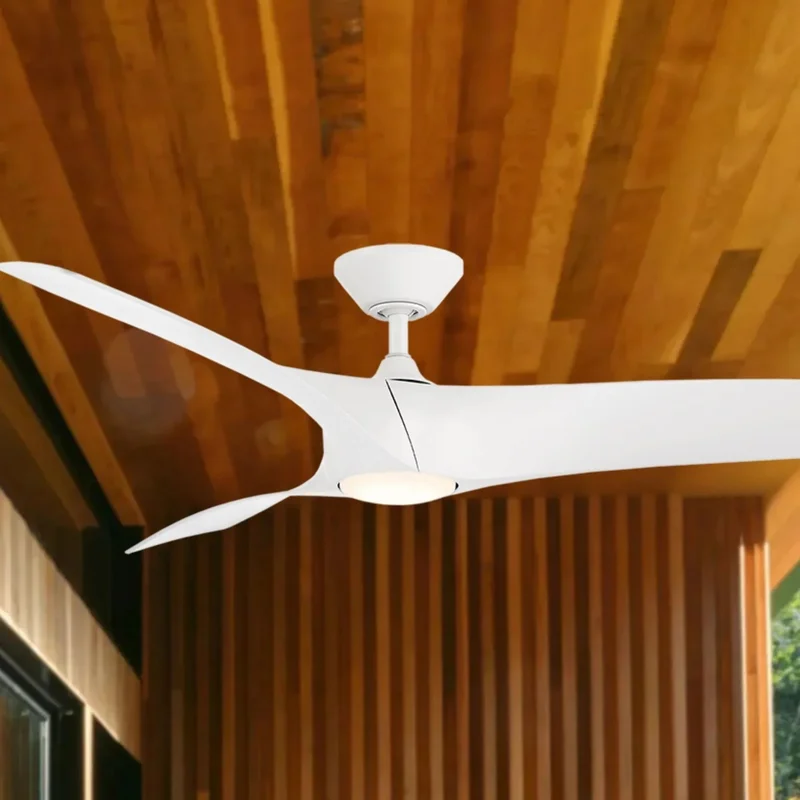 beeslighting12649940