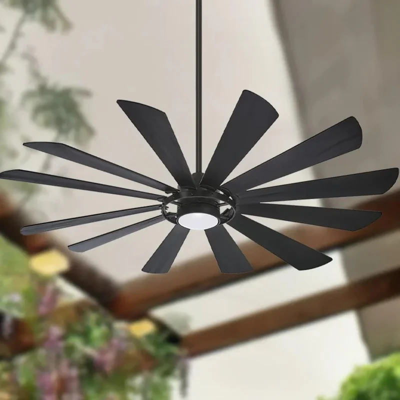 beeslighting12650092