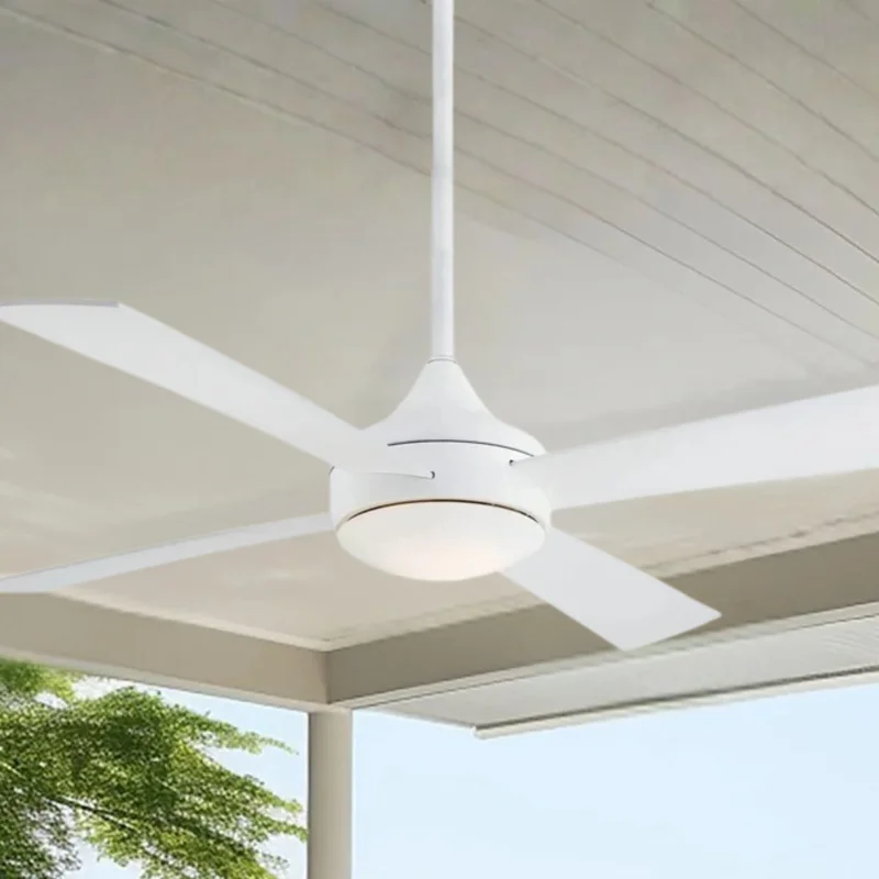 beeslighting12650954