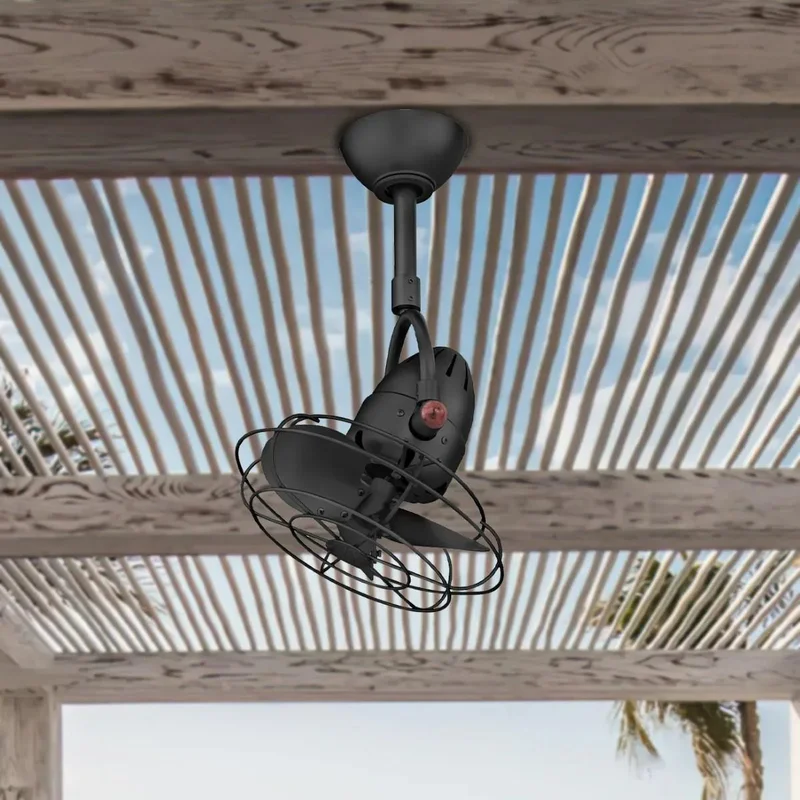 beeslighting12652403