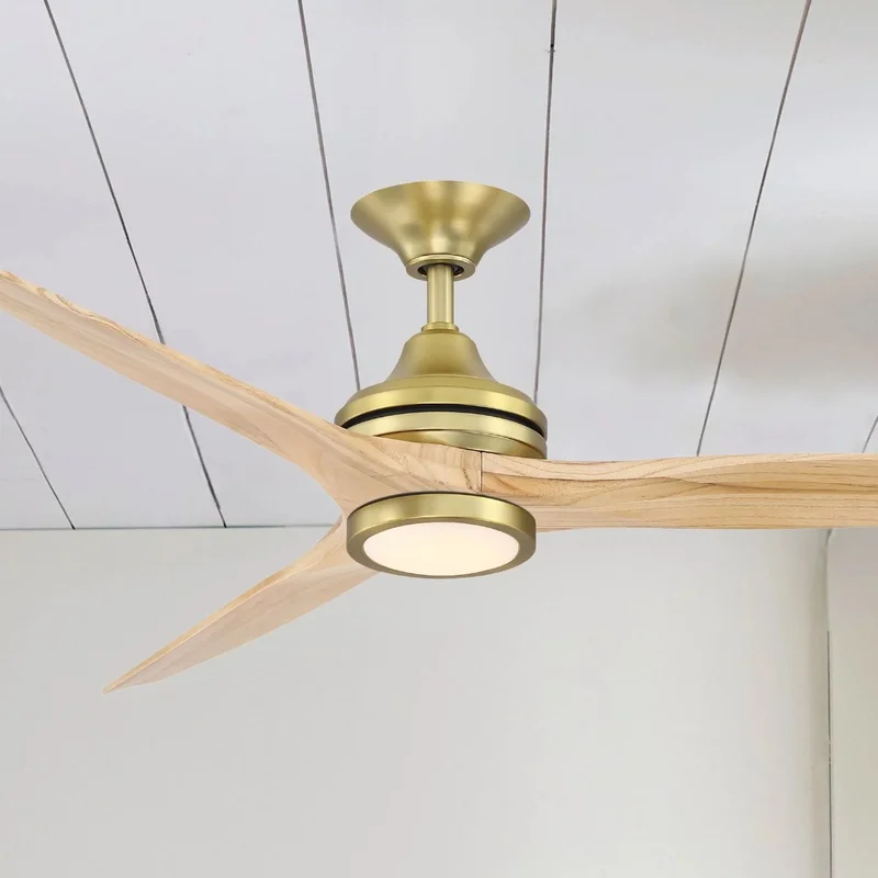 beeslighting12652549