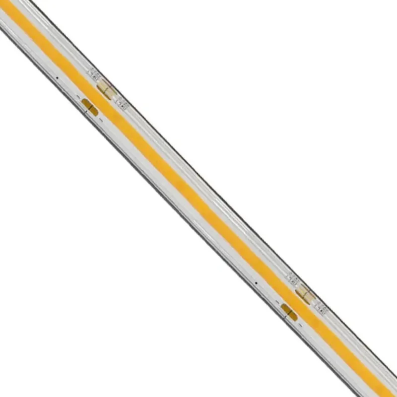 beeslighting12654229