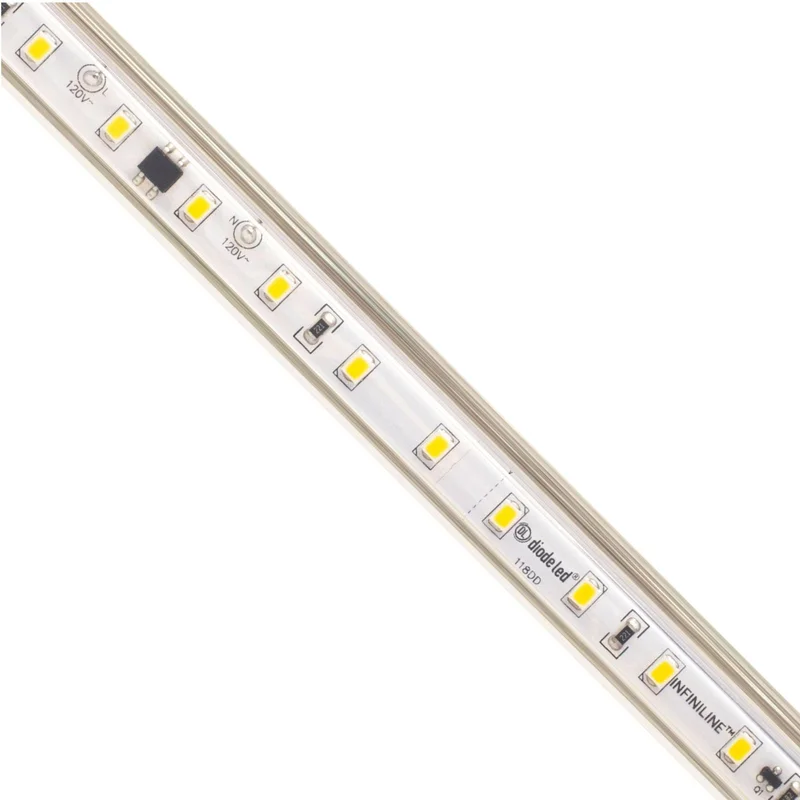 beeslighting12654334
