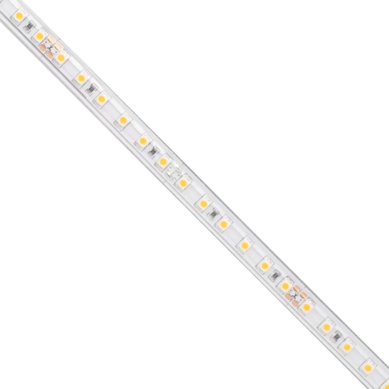 beeslighting12654551
