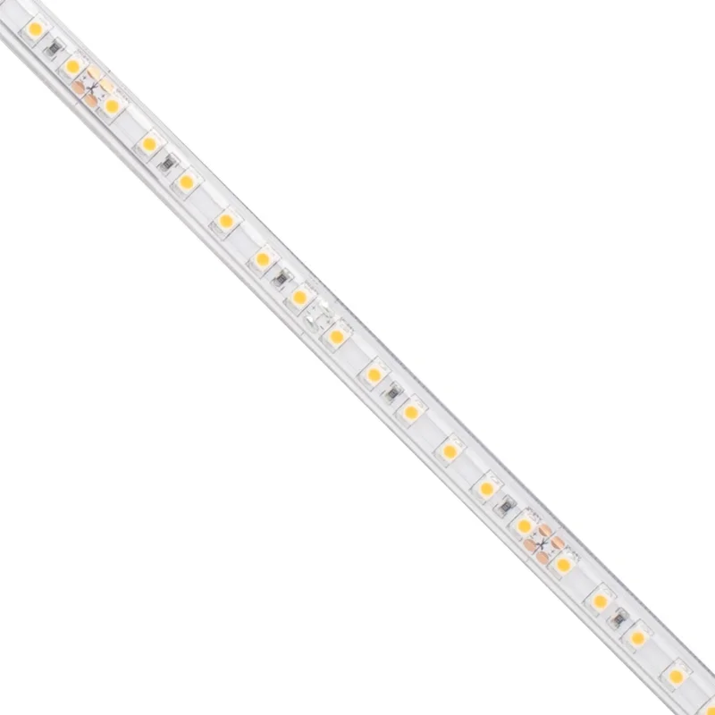 beeslighting12654573
