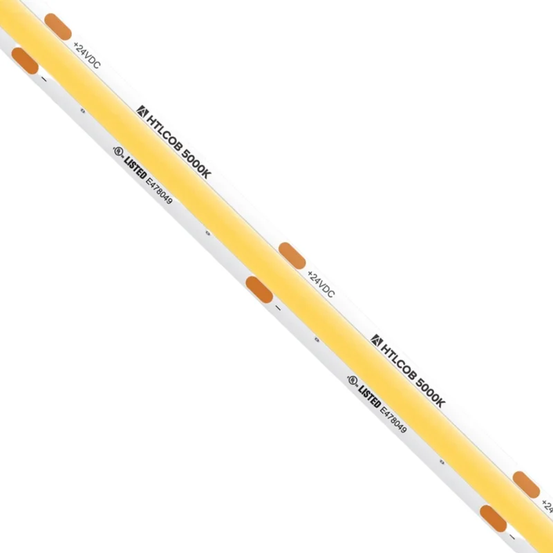 beeslighting12654623