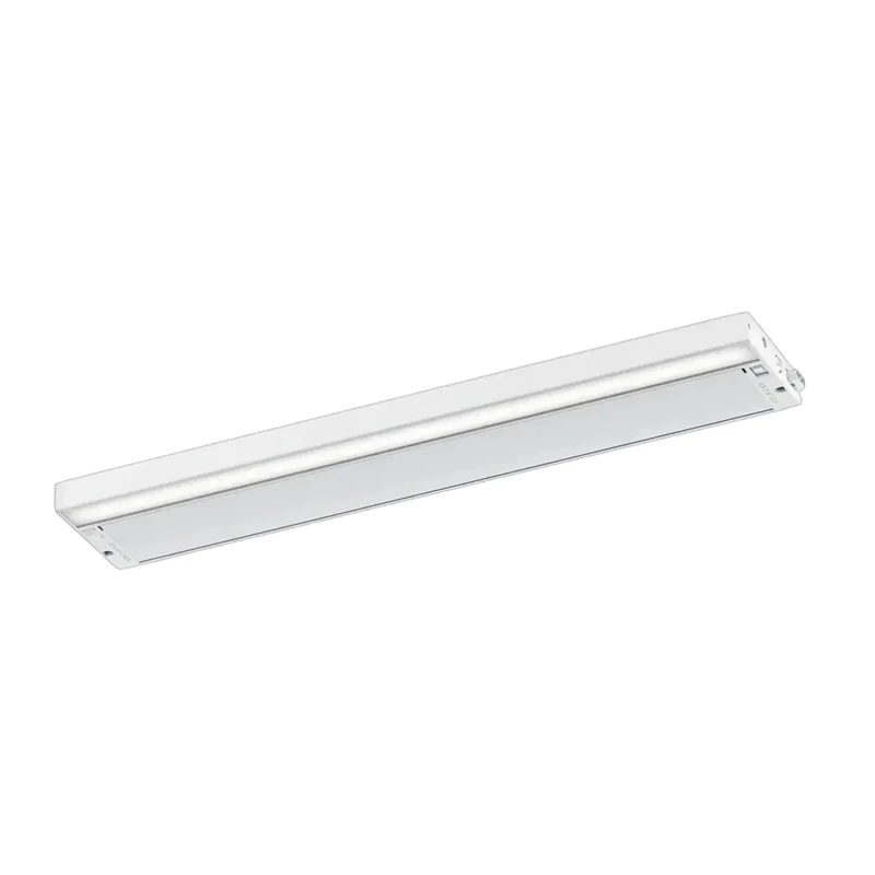 beeslighting12655495