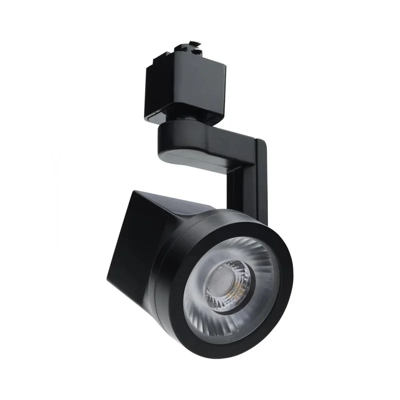 beeslighting12656270