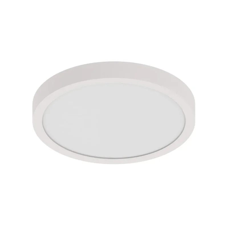 beeslighting12656471