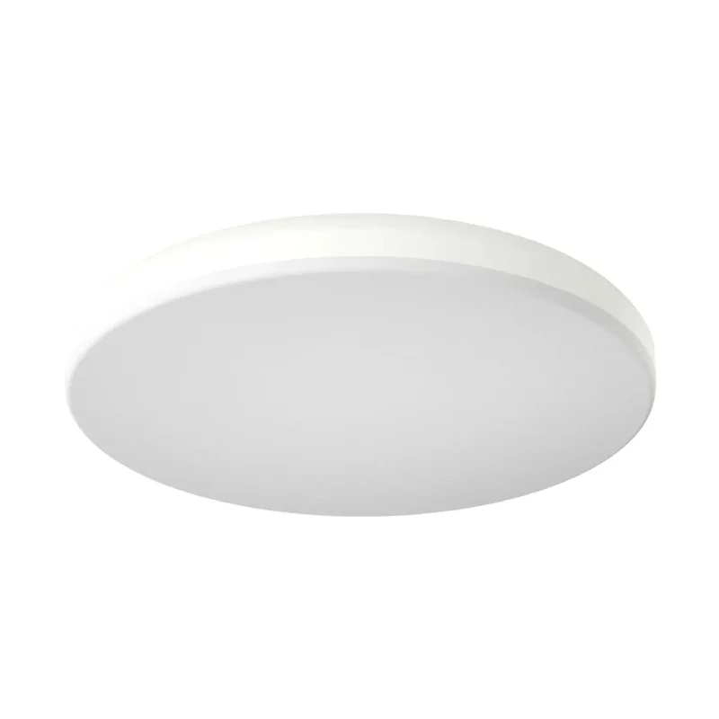 beeslighting12656536