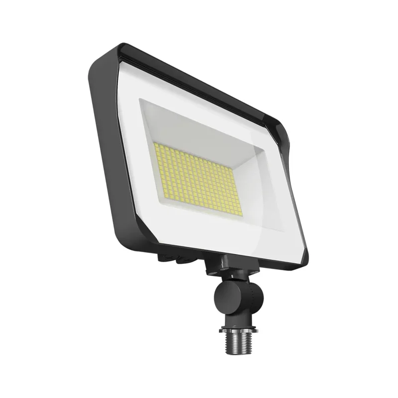 beeslighting12656800