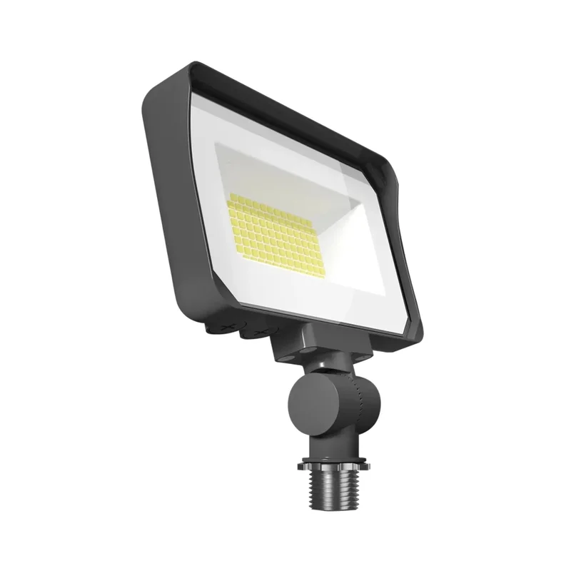 beeslighting12656806