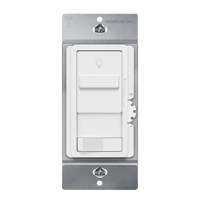 beeslighting12657324