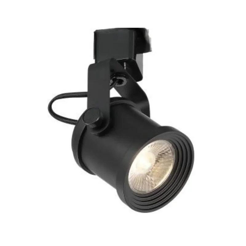 beeslighting12662959