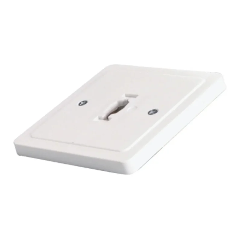 beeslighting12663007