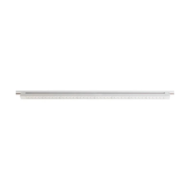 beeslighting12663059