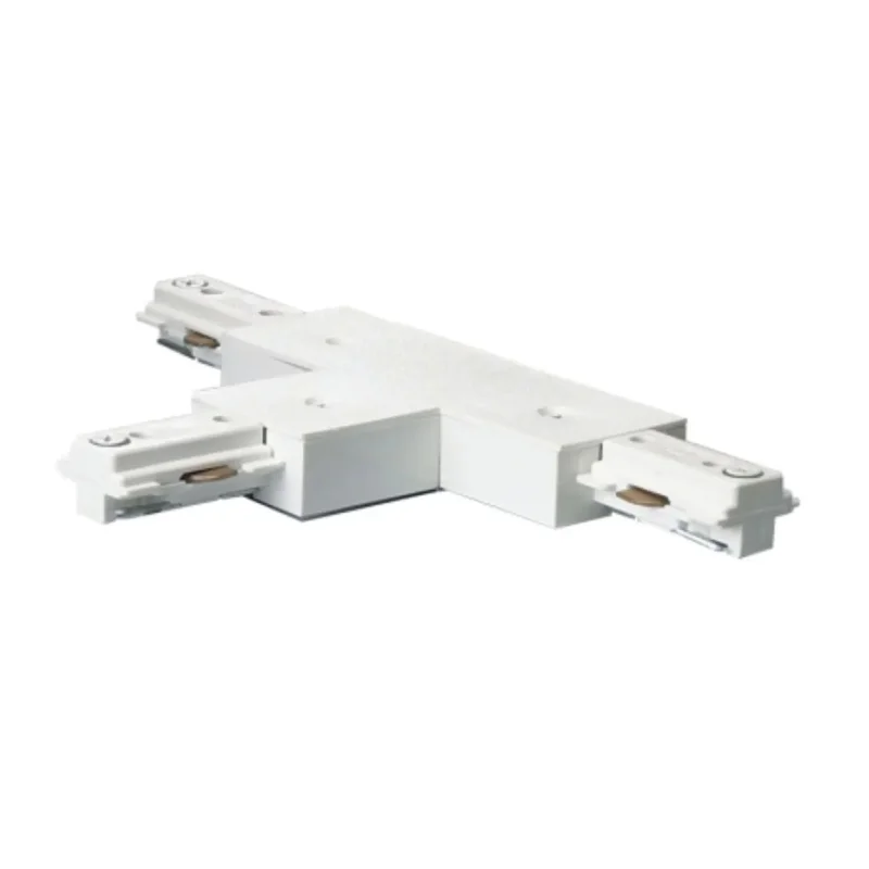 beeslighting12663104