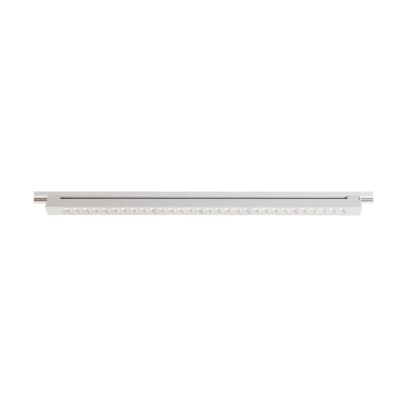 beeslighting12663121