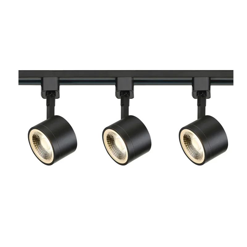 beeslighting12663128