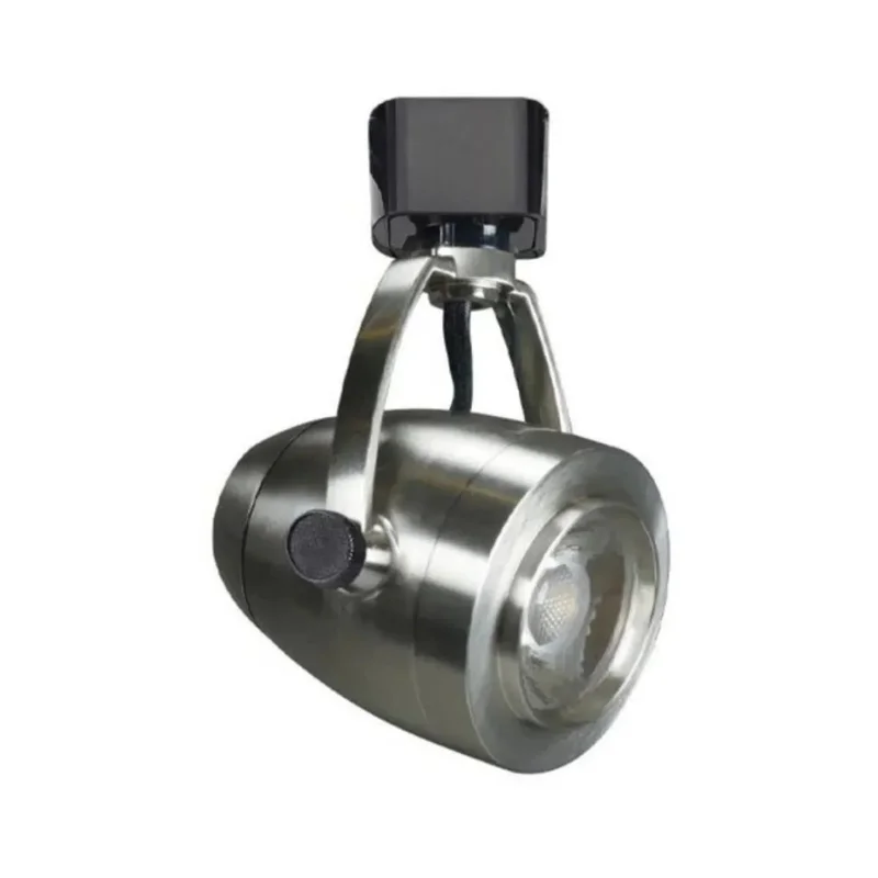 beeslighting12663488