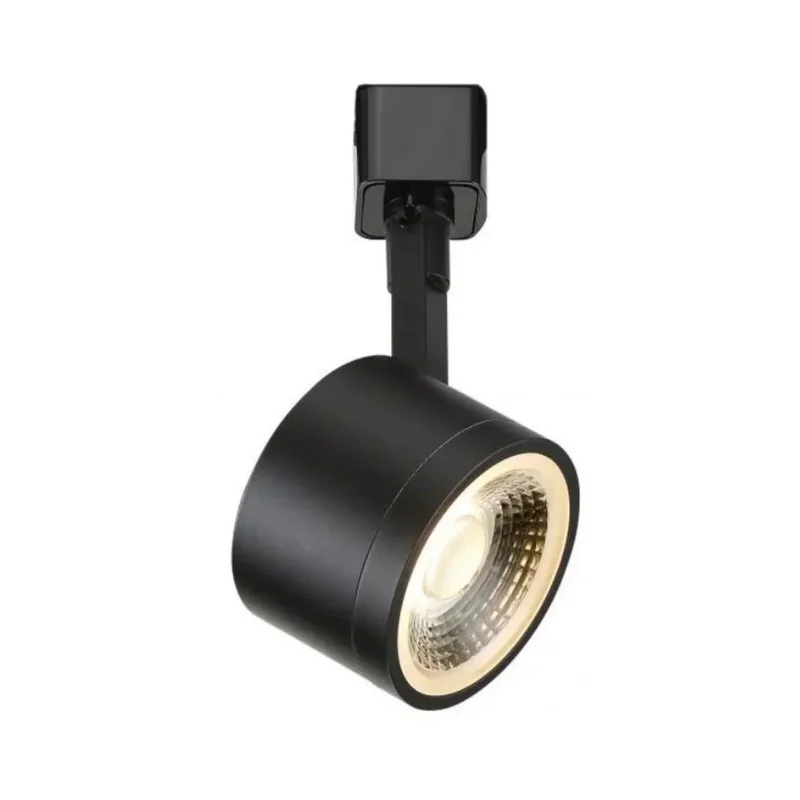 beeslighting12663841