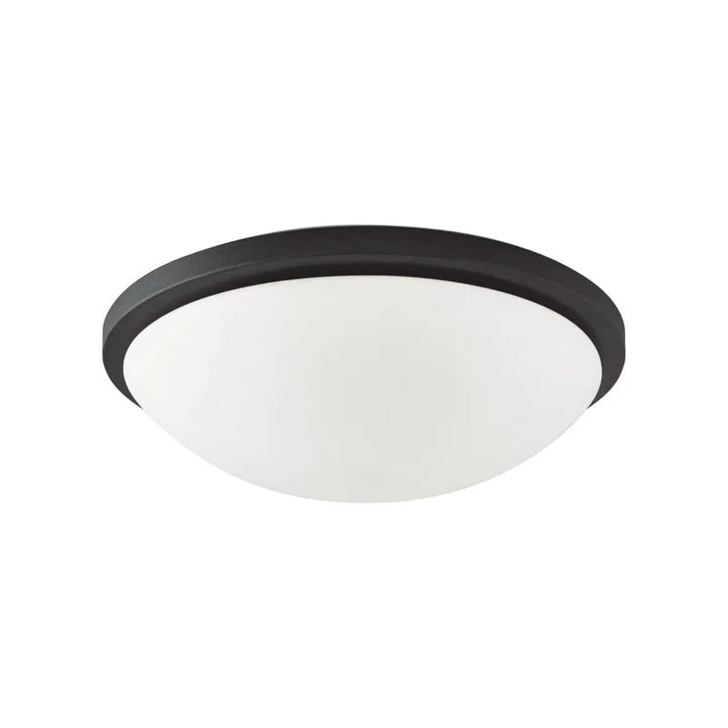 beeslighting12663939
