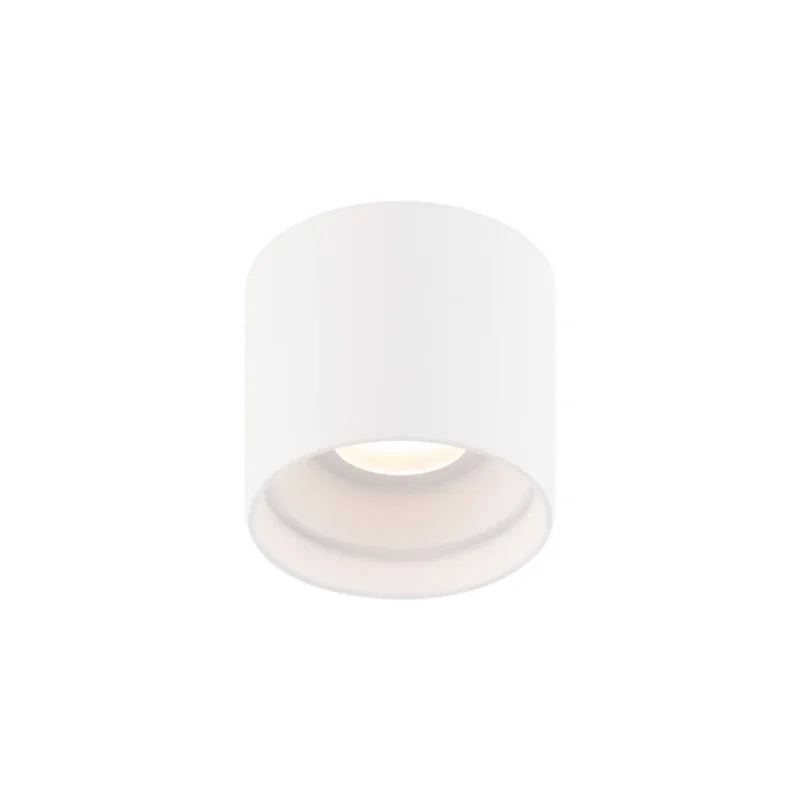 beeslighting22455573