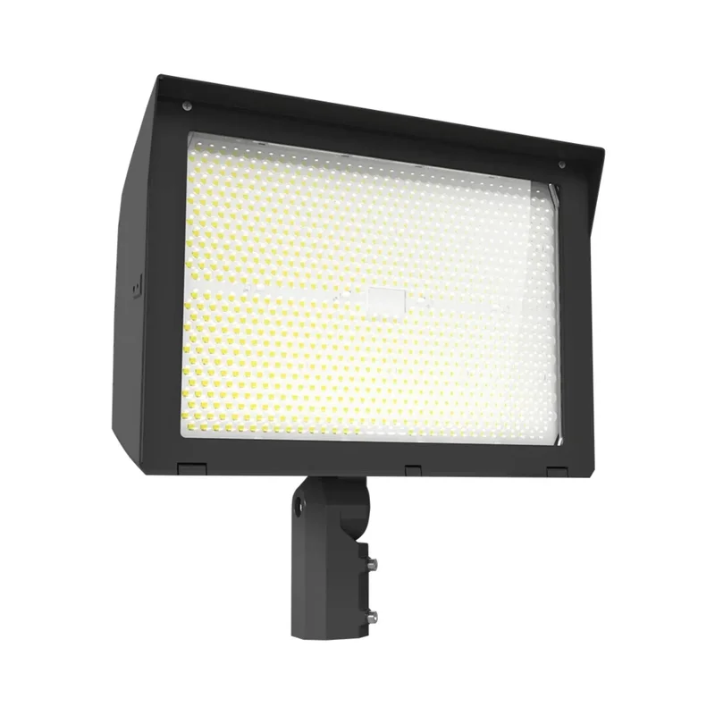 beeslighting22460210