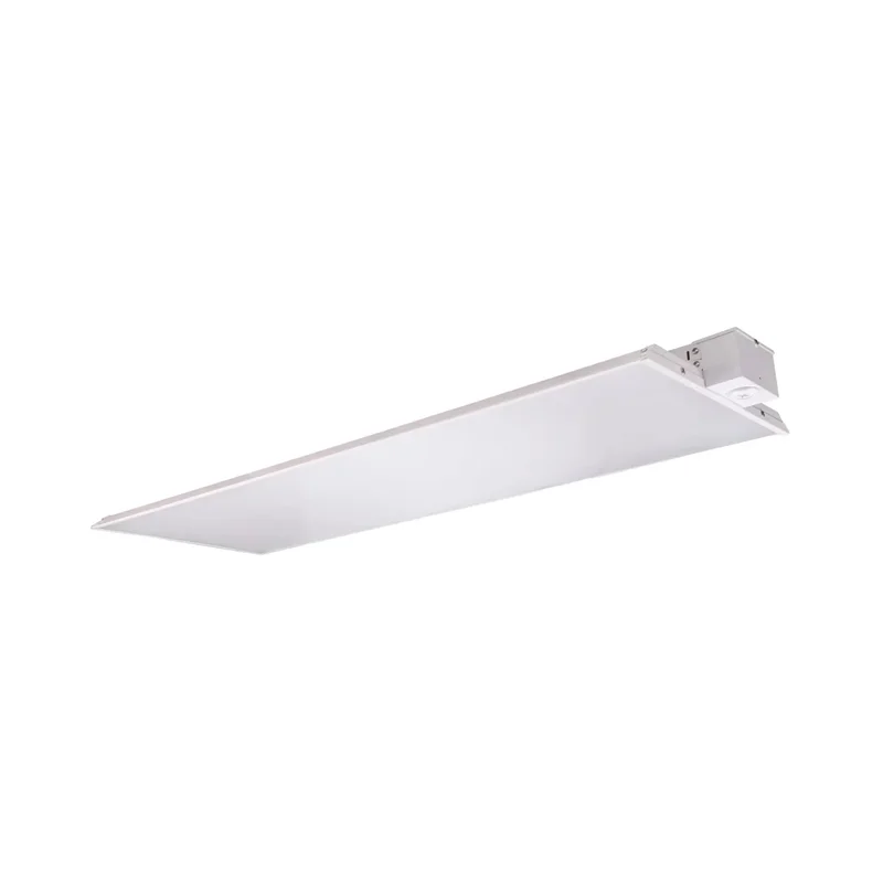 beeslighting22594208
