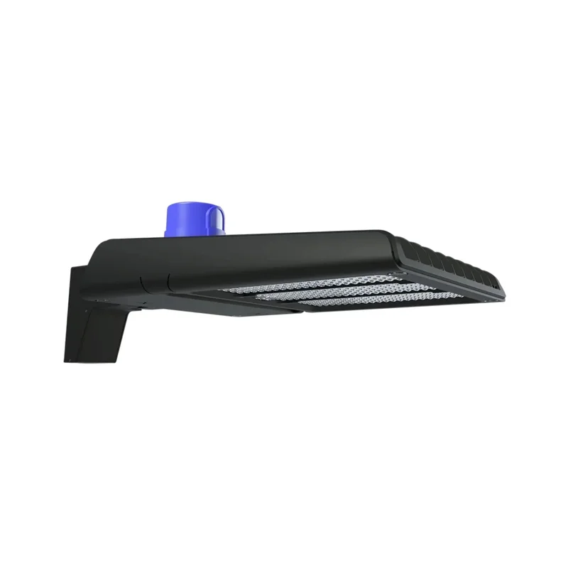 beeslighting22605942