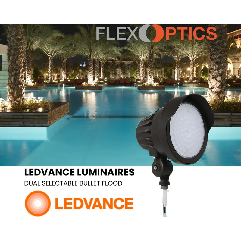 beeslighting22607940