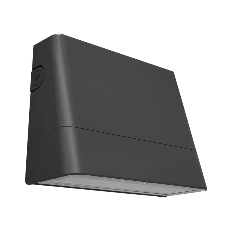 beeslighting22609481