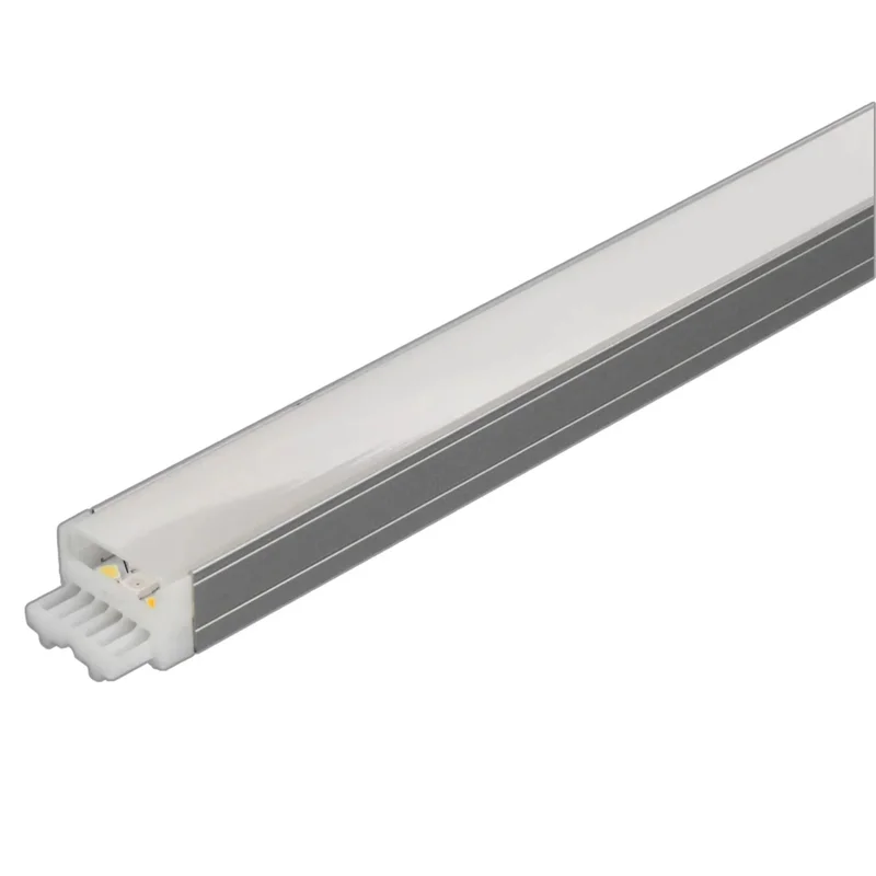 beeslighting22615251