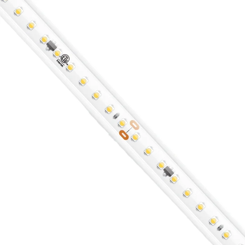 beeslighting22615790