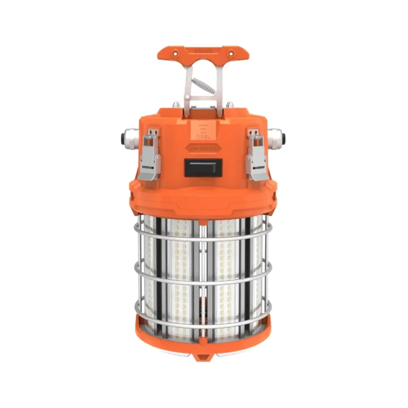 beeslighting22616898