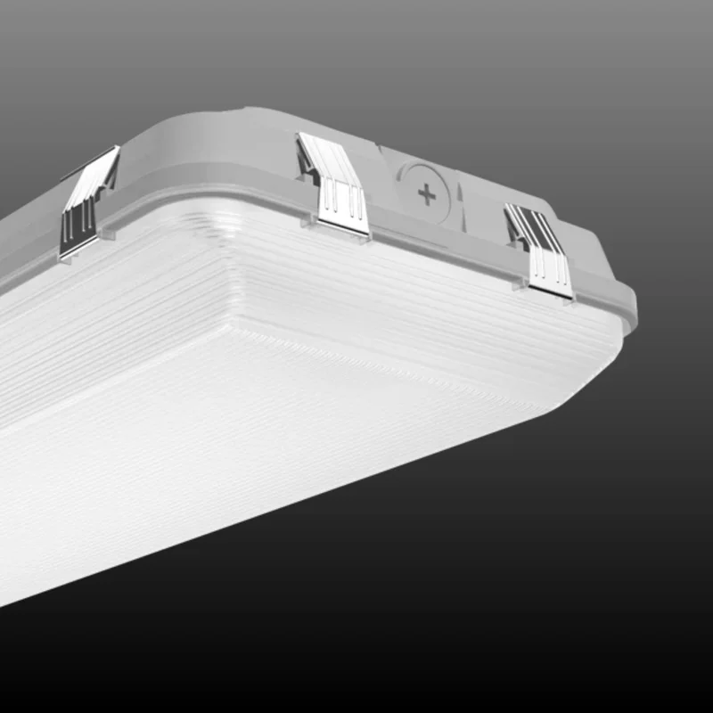 beeslighting22617450