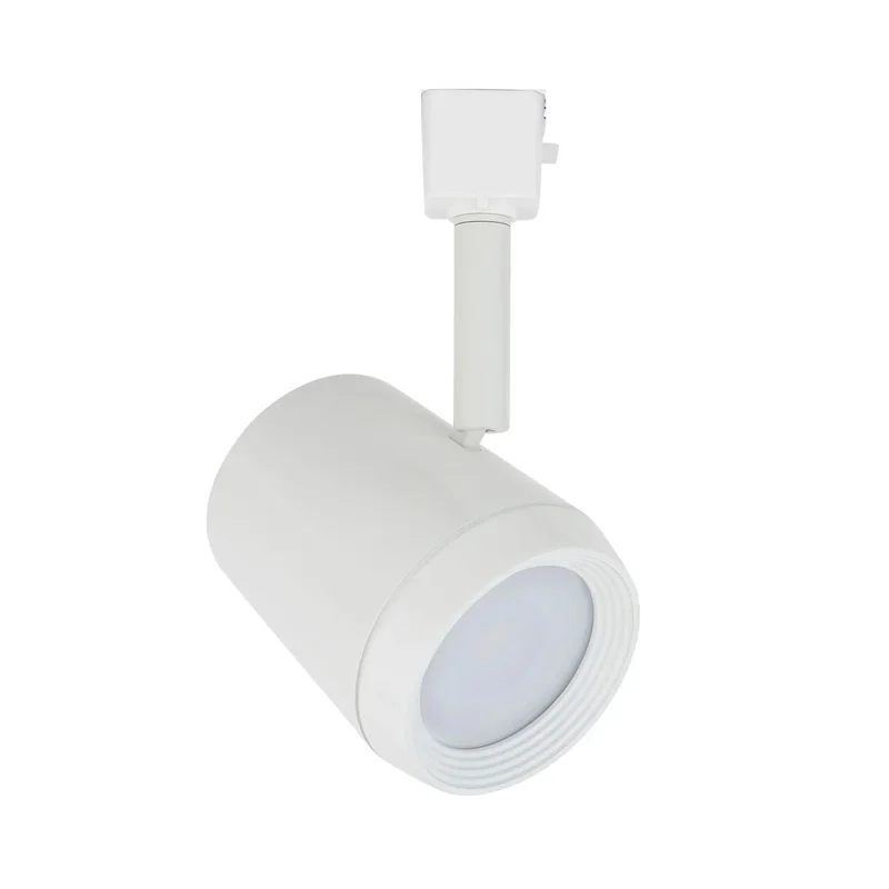 beeslighting22617499