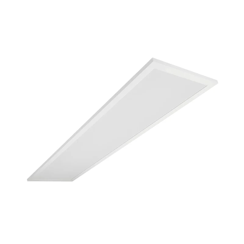 beeslighting22618666