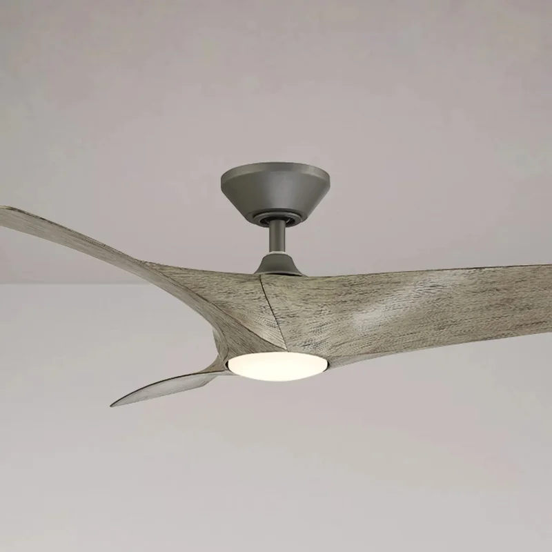 beeslighting22619028