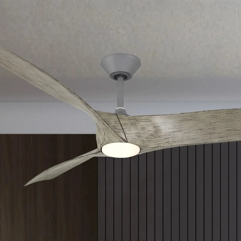 beeslighting22619093