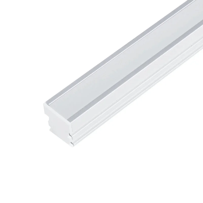 beeslighting22619685