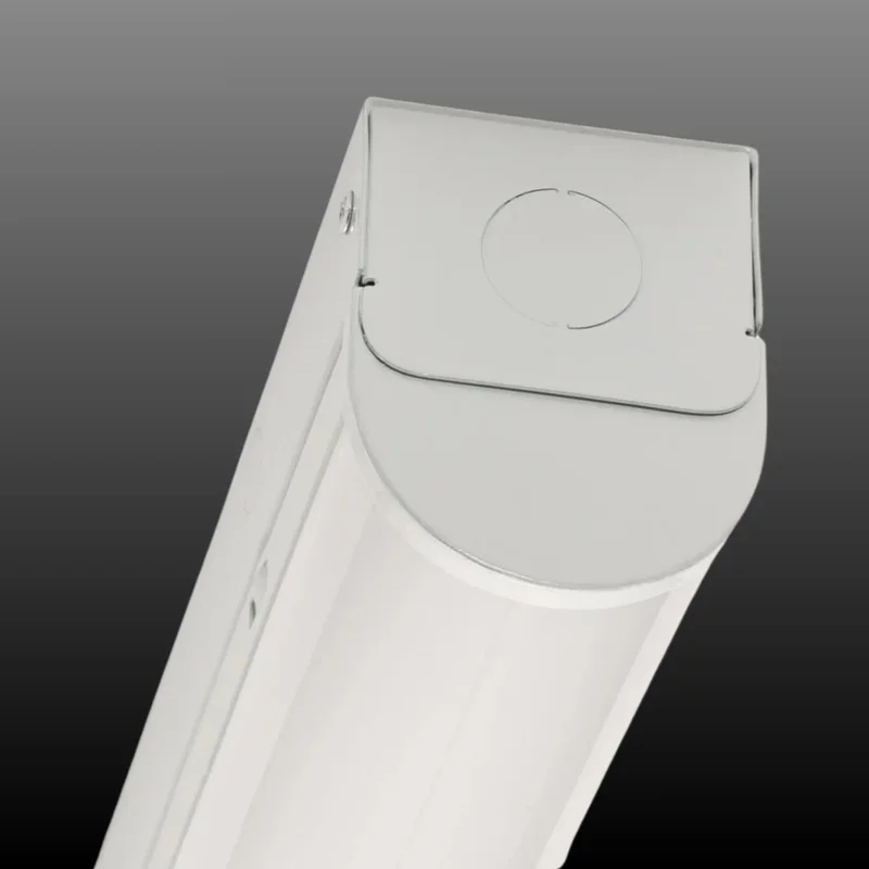 beeslighting22621294