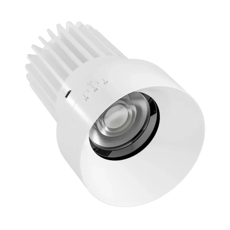 beeslighting22643770