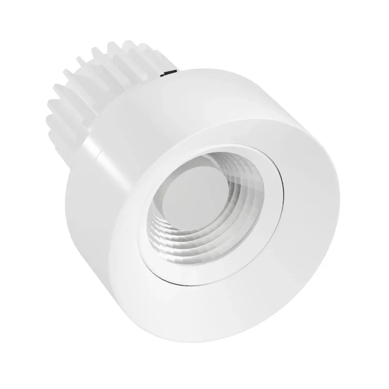 beeslighting22643786