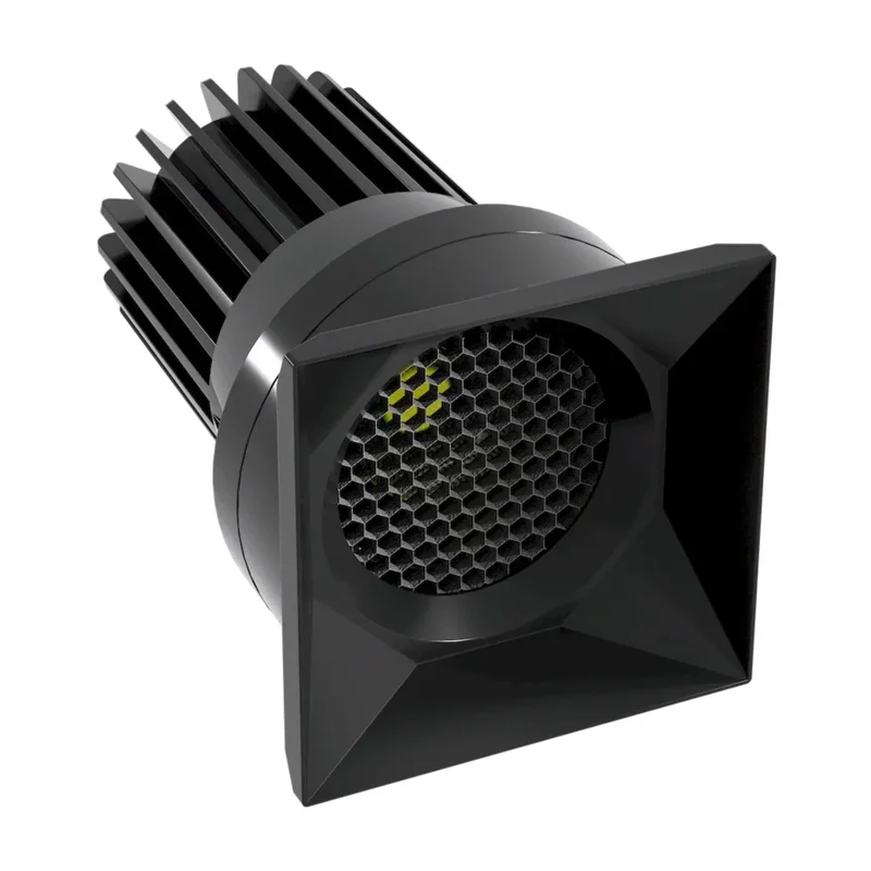 beeslighting22643820