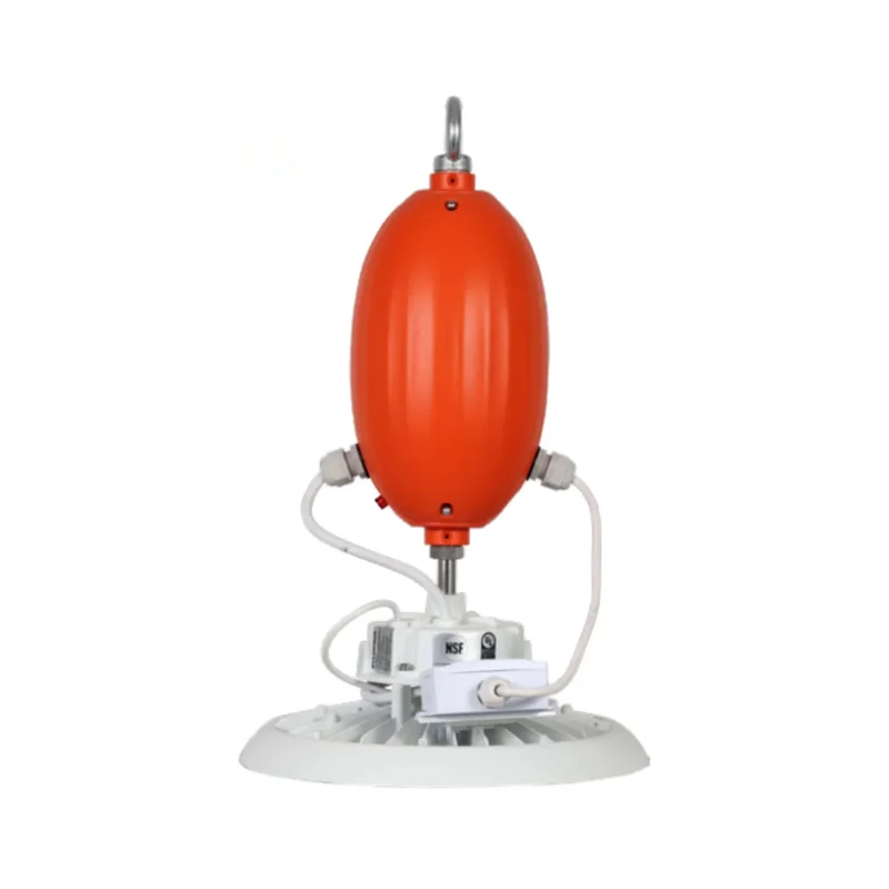 beeslighting22645786